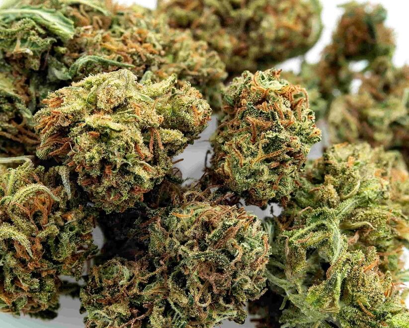 Top Shelf CBD Flower